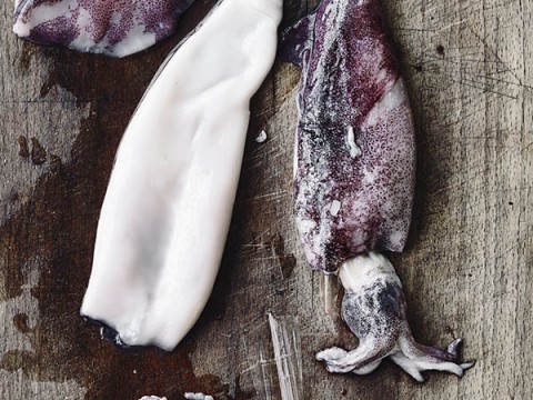 Come pulire i calamari e le ricette per cucinarli