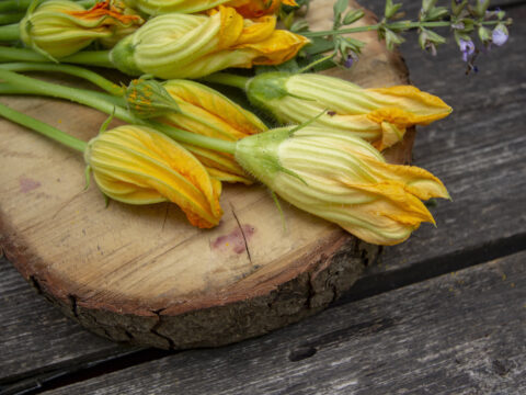 Pizza con fiori di zucca e alici