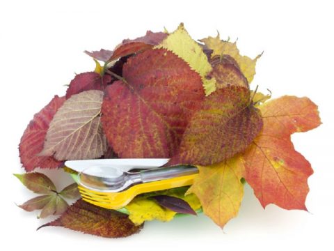 Dieta detox post vacanze: per preparare il corpo all'autunno