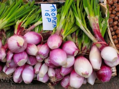 Le cipolle di Tropea: delizia in cucina