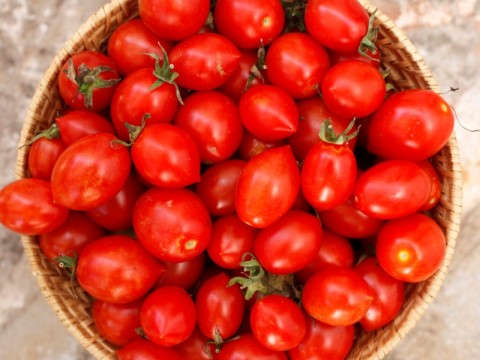 La ricetta del pesto di pomodori