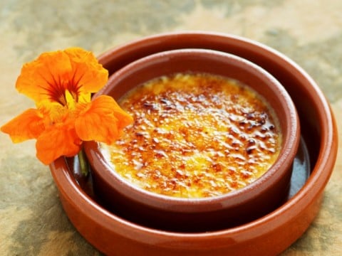 La crema catalana vegana