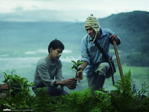 Di padre in figlio: il calendario Lavazza 2016