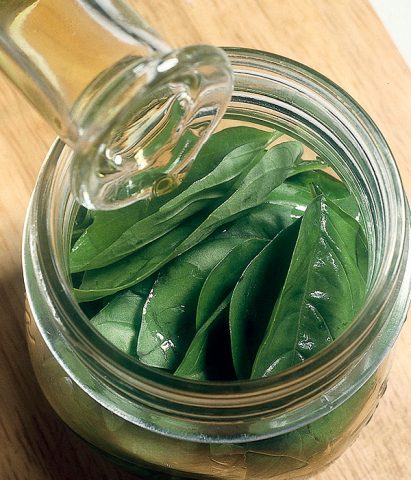 Per conservare il basilico sott'olio dovrai disporre le foglie, perfettamente lavate e asciugate, in