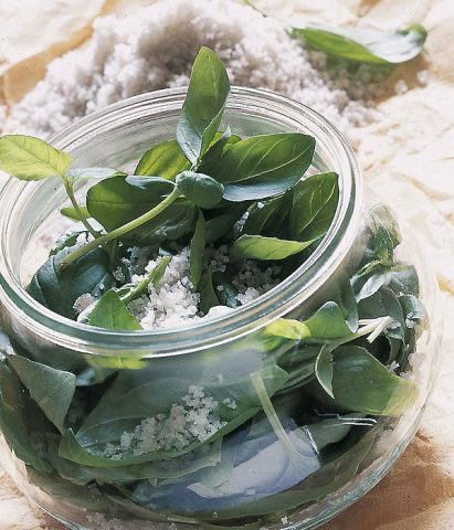 Conservare il basilico sotto sale è un altro metodo facile per mantenere il suo aroma per i mesi f