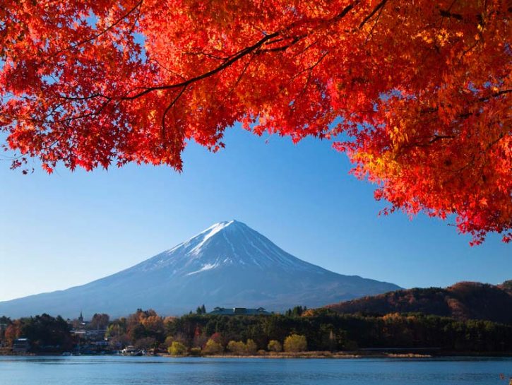 Autunno In Giappone Le Foto Del Foliage Piu Bello Del Mondo Donna Moderna