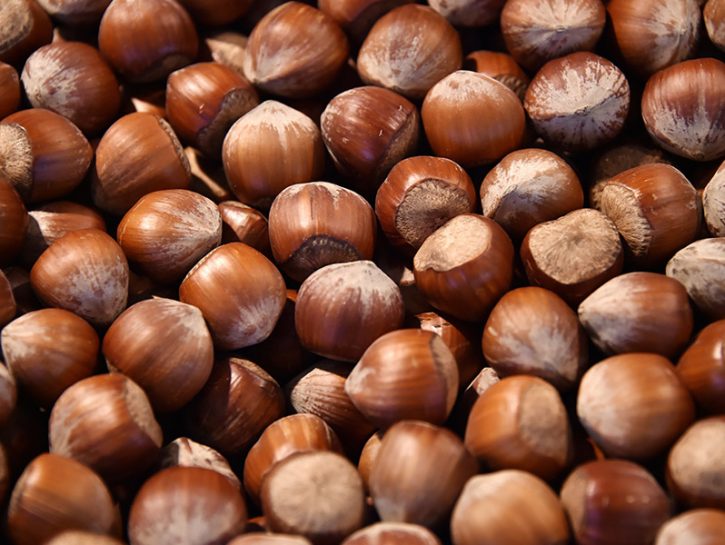 Nocciole