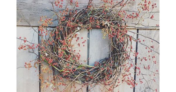 Amosfun 4 Pz Ghirlande di Vite Naturale Ghirlanda di Rami di Vite Ghirlanda per Fai da Te Artigianato di Pasqua Porta Dingresso in Rattan Appeso a Parete Decorazioni per Feste