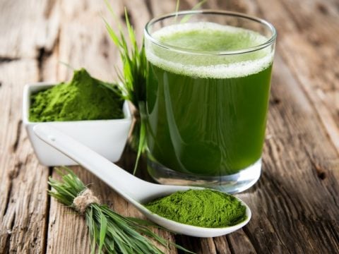 Le caratteristiche dell'alga spirulina