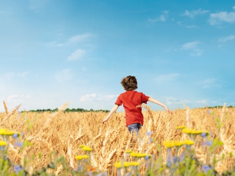 Harmony, il Patto del grano buono che fa la differenza