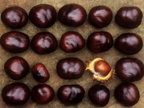 Come fare una autunnale zuppa di ceci e castagne