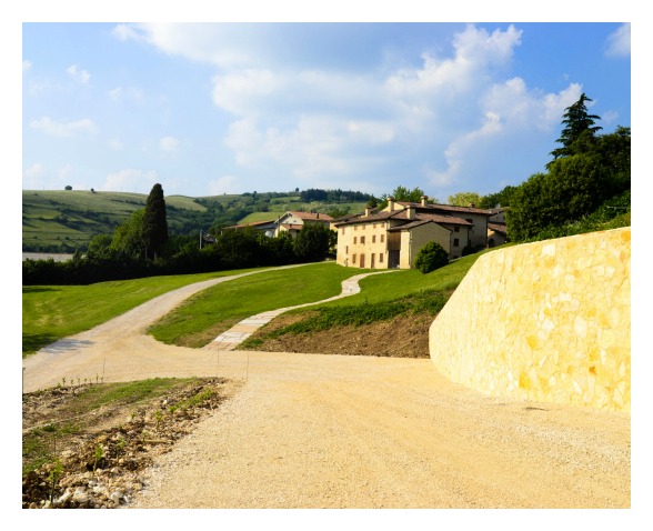 collina dei ciliegi