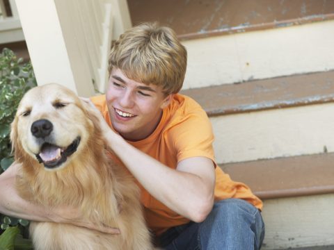 Educazione dei cani: il significato delle carezze