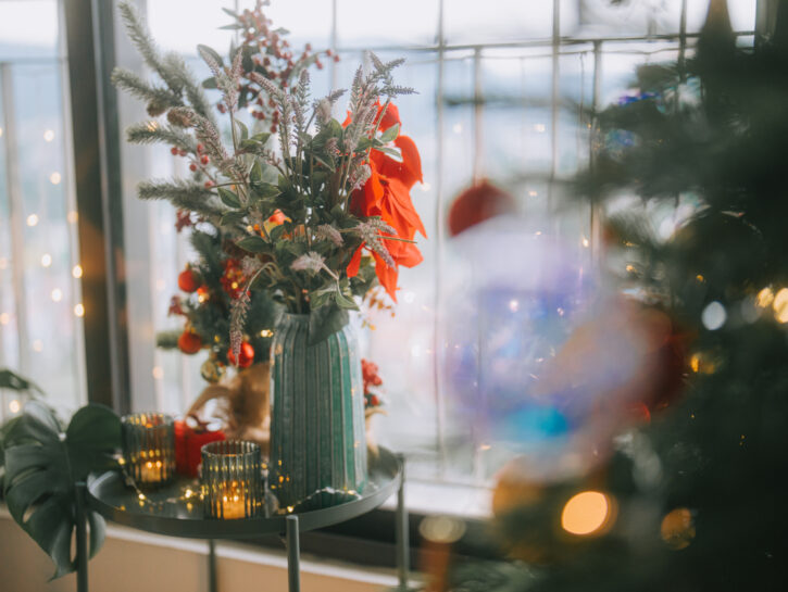 Le piante perfette da regalare a Natale