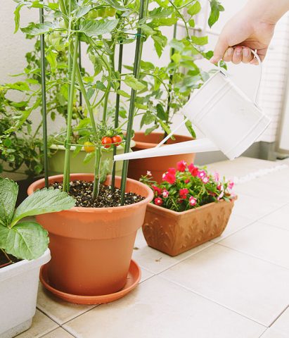 Porta sul balcone il necessario per una veloce spazzata o per annaffiare le piante e i fiori. Poi la