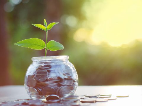 Una banca solida: ecco come sceglierla