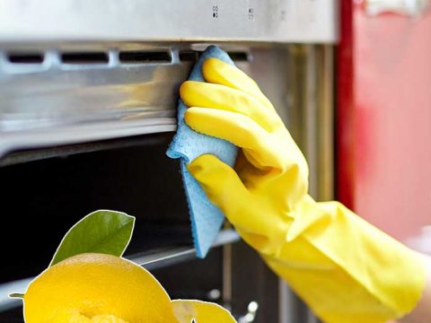 Ecopulizie per gli elettrodomestici in cucina