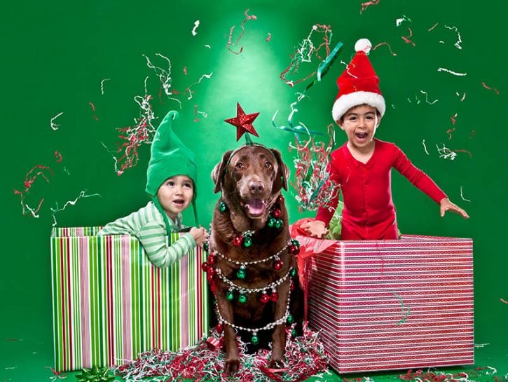 Non ho che auguri da regalare: di auguri ne ho tanti, prendete quelli che volete, prendeteli tutti q