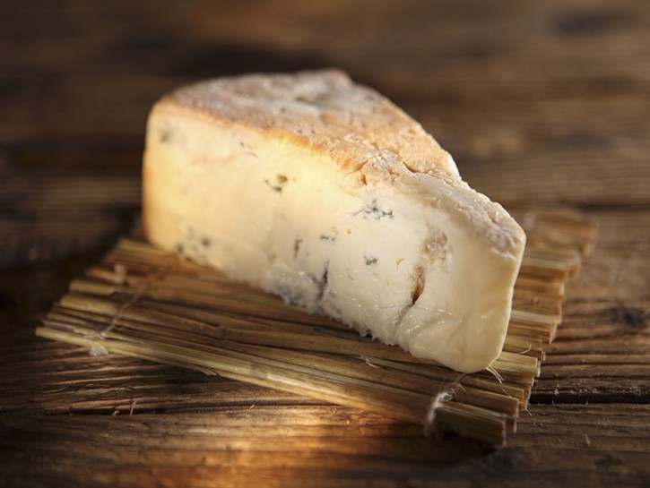 gorgonzola