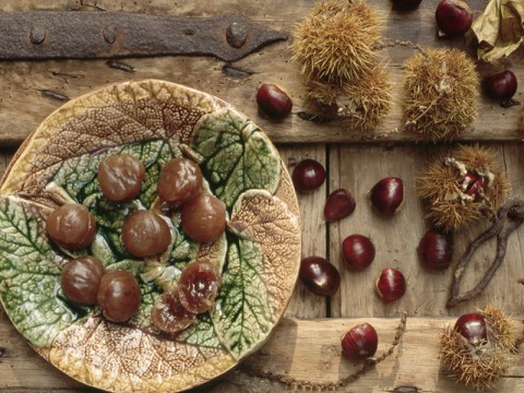 Come fare i marron glacé a casa