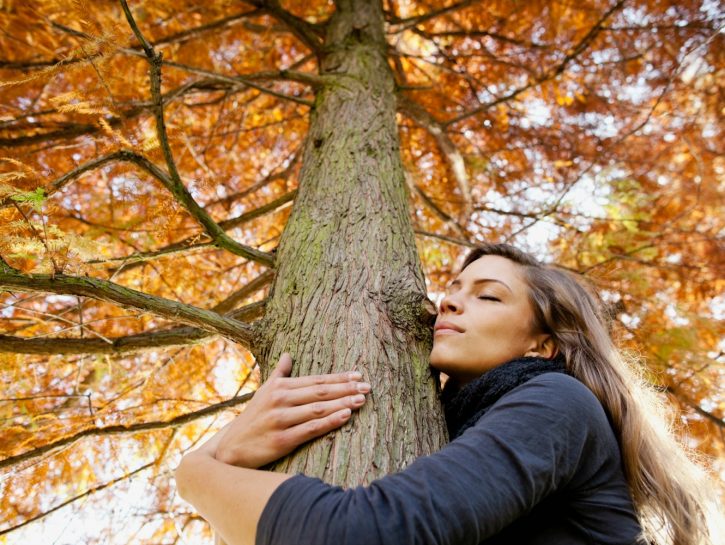 Abbracciare gli alberi
