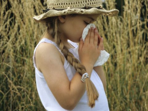 Vaccino per le allergie stagionali: come funziona e quando farlo