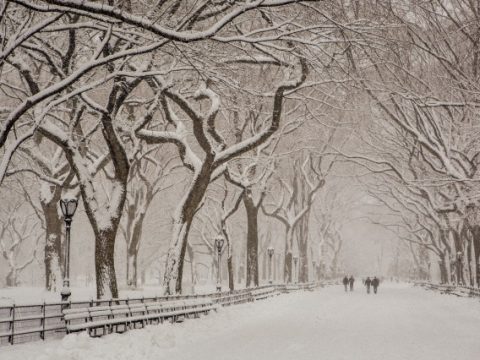 Paesaggi invernali da sogno: le foto più belle dal mondo