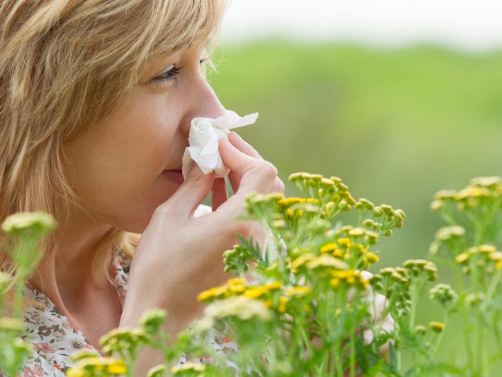 Allergia all'ambrosia. cause, sintomi, diffusione, cure