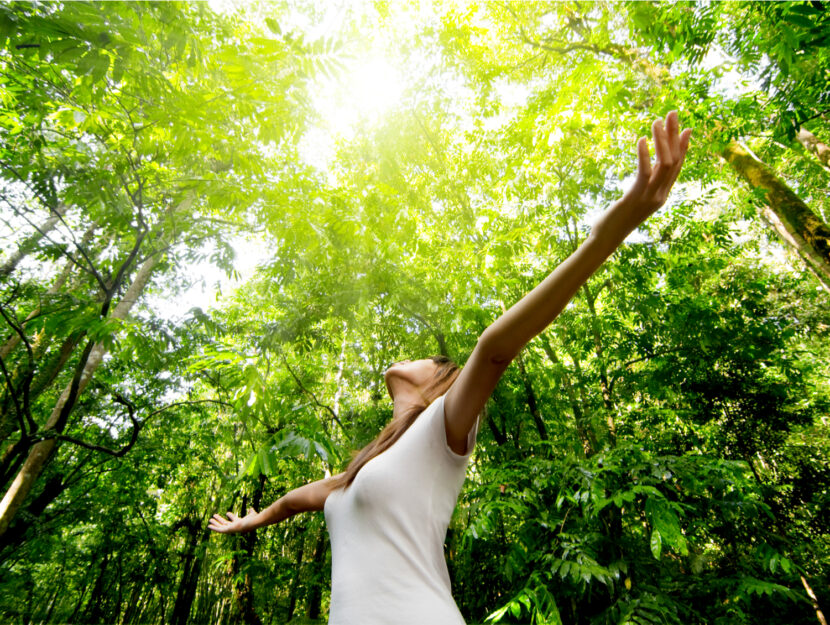 I benefici del contatto con la natura