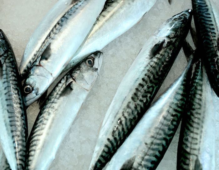 Sindrome sgombroide: occhio al pesce mal conservato