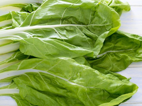 Bietole: come cucinarle