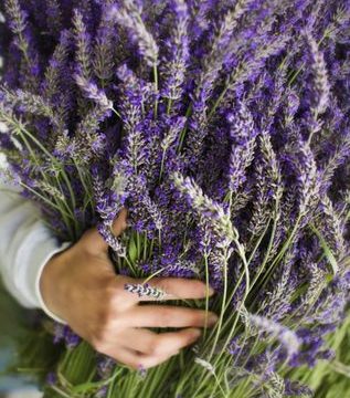 5 ricette fai da te per un detersivo naturale