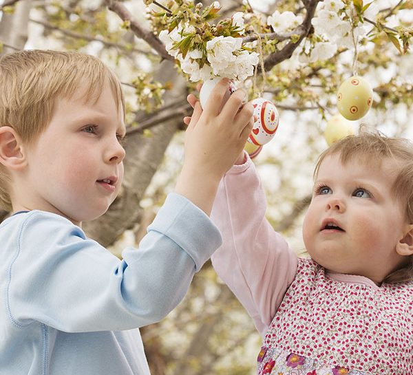 Addobbare gli alberi del giardino