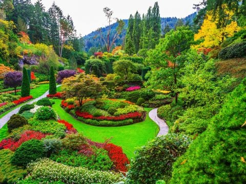 Primavera nel mondo: le foto più belle