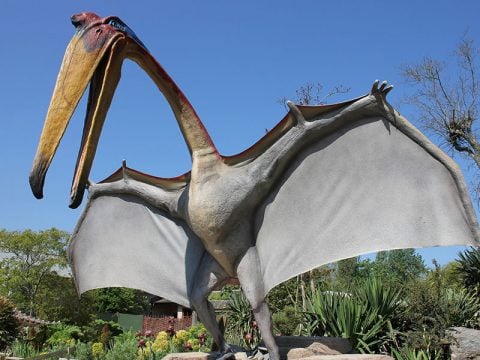 10 animali mostruosi che si sono estinti