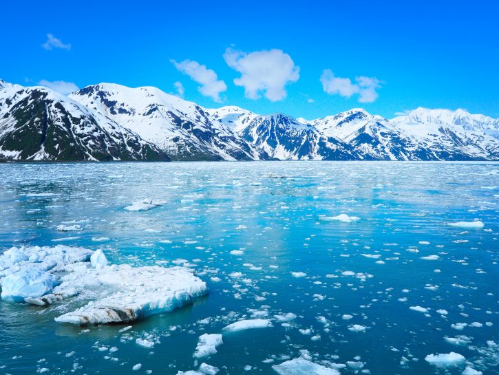 Crociera tra i ghiacci dell'Alaska