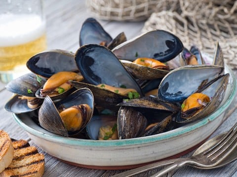 Quando comprare le cozze: tutto quello che c'è da sapere