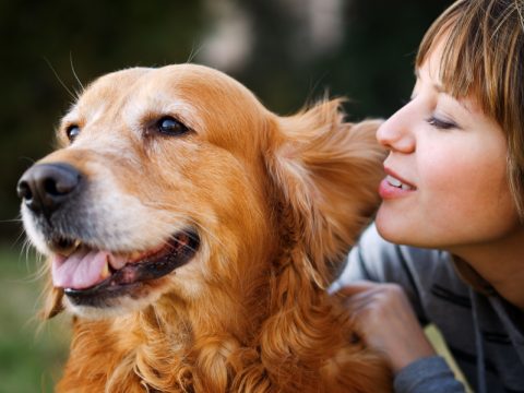 Pet Therapy: perché funziona