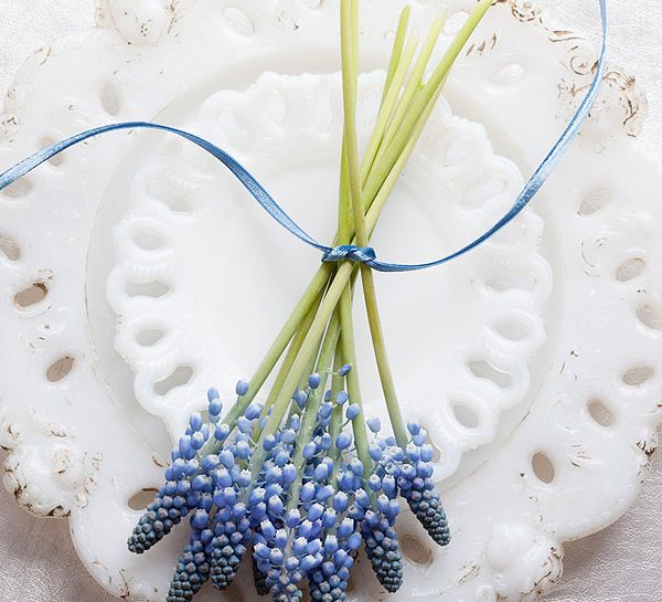 Il giacinto per la tavola di Pasqua