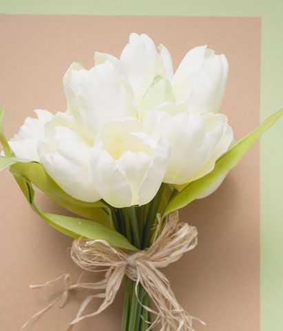 Anche i tulipani, come i narcisi, sono tra i primi fiori a sbocciare in primavera e proprio per ques