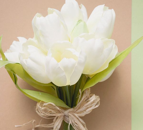 I tulipani annunciano la rinascita