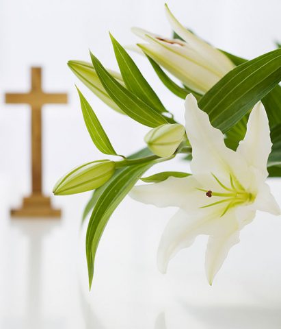 Anche il giglio è molto usato per le decorazioni di Pasqua, è uno dei simboli della Passione di Cr