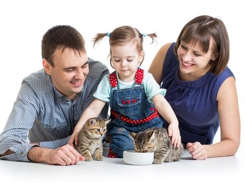 Come insegnare ai bambini ad amare gli animali