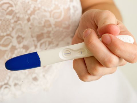 Erbe e piante che aumentano la fertilità