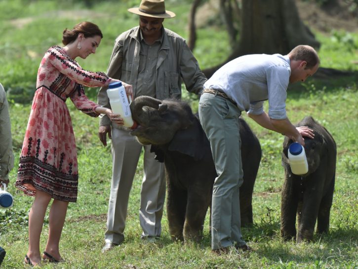 William & Kate guardiaparco