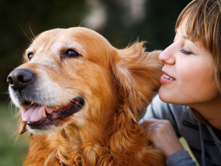 Terapia con gli animali, riconosciuta dalla medicina ufficiale