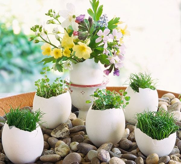 I fiori di Pasqua