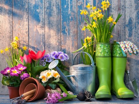 Accessori giardinaggio: soluzioni facili e creative per il giardino di primavera