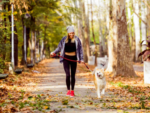 Dog fitness: allenarsi con il cane è trendy, divertente ed efficace
