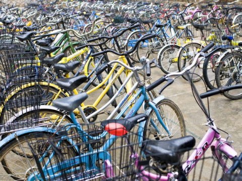 Bici rubate, la polizia ricorre a Facebook